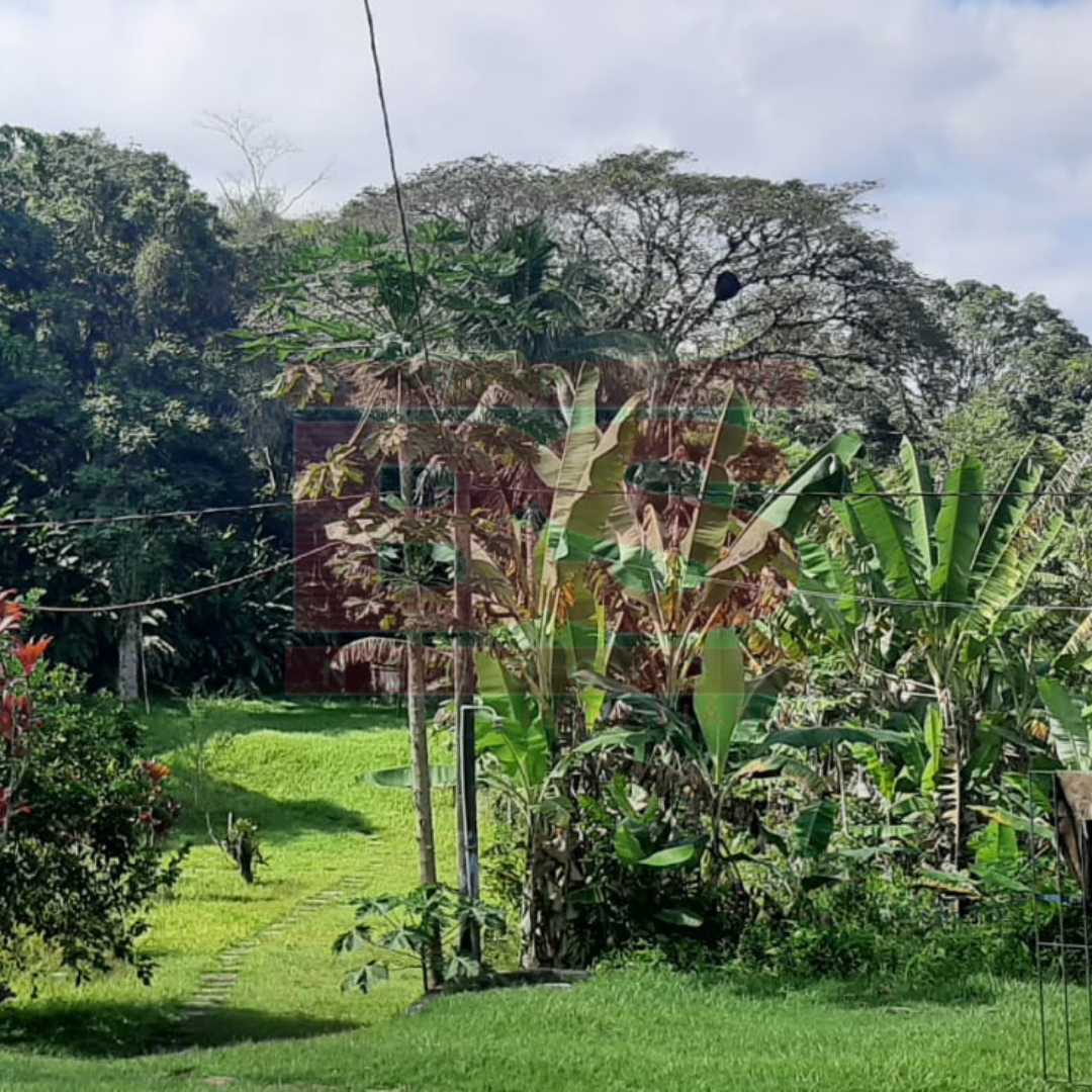 Bs imobiliaria bs negocios imovel:ARZ 265 - Chácara  Arrozal - RJ imagem 3