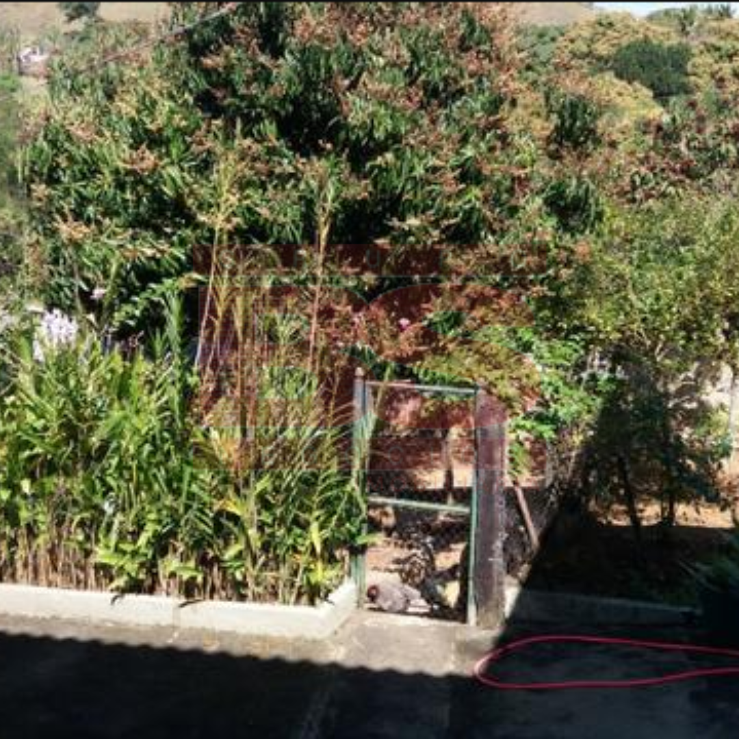 Bs imobiliaria bs negocios imovel:ARZ 225 -  Chácara em Arrozal - RJ imagem 5